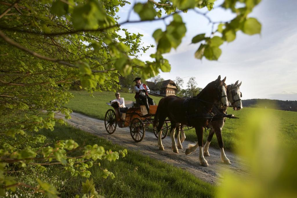 Ferienhaus Troadkasten - Familie Friedrich ฮาร์ทแบร์ก ภายนอก รูปภาพ